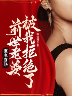 《重生官场：前世老婆被我拒绝了！》孟远陈琳雅章节目录免费试读