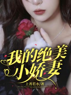 我的绝美小娇妻by龙禹陈薇完整版 龙禹陈薇小说全集在线阅读